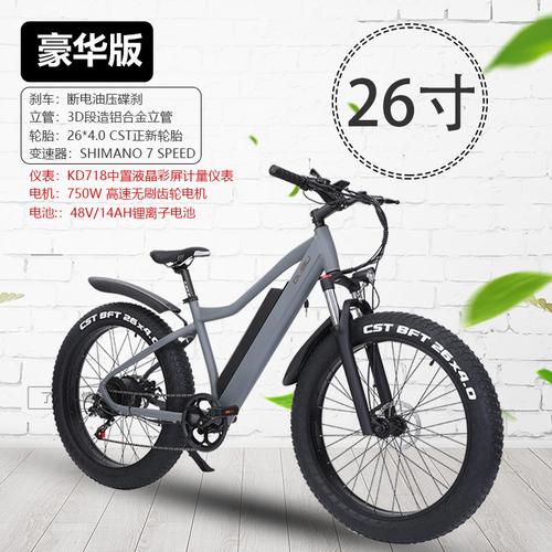 定制产品26寸肥胎电动自行车铝合金折叠助力山地电动车